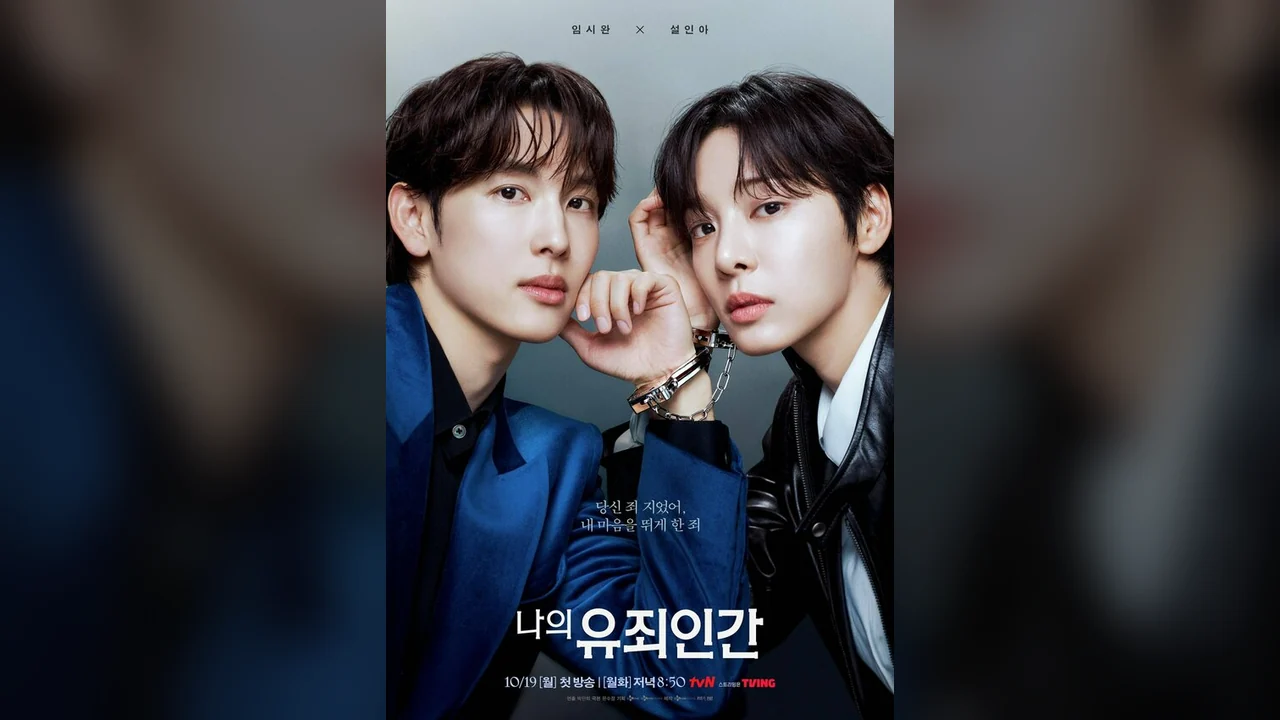 Сериал Любовь под прикрытием (1 сезон)